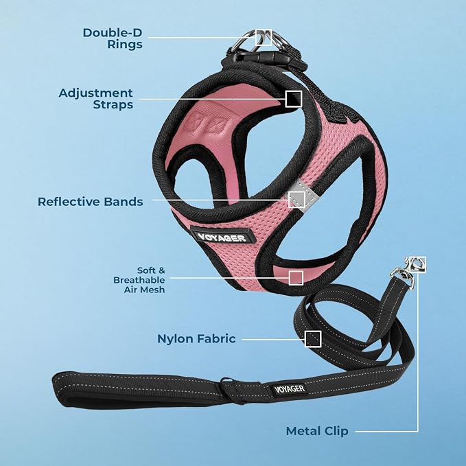 Best Pet Supplies Voyager Step-in Air All Weather Mesh Harness and Reflective Dog 5ft Leash Combo with Neoprene Handle, for Small, Medium and Large Breed Puppies - Pink/Black Trim, XX-Small