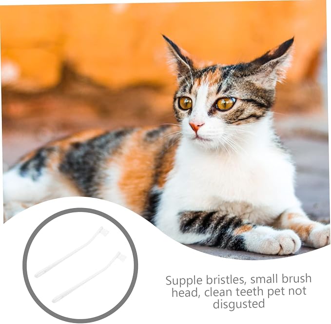Toyvian 2pcs Long Handle Pet Toothbrush Soft Bristles for Cats Dogs Dogs Cats Oral Care