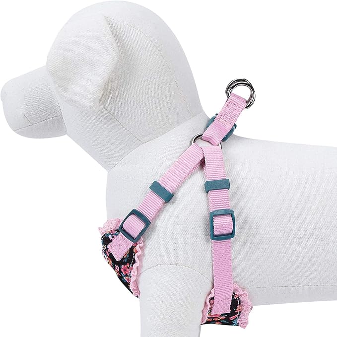 Blueberry Pet Soft & Comfy Made Well Elegant Floral No Pull Mesh Puppy Dog Harness Vest in Sleek Black, Chest Girth 14"-16", X-Small, Adjustable Harnesses for Dogs & Cats
