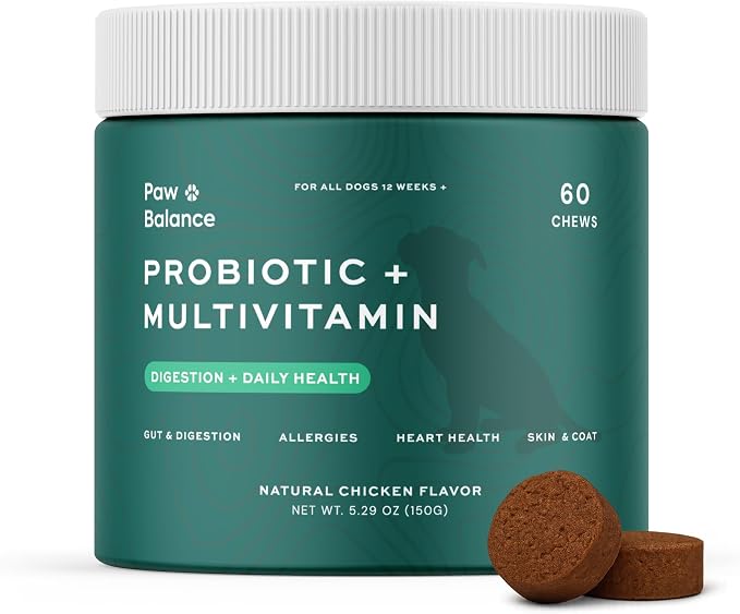 Dog Probiotics and Multivitamin Chews for Digestive Health, Immune Support, Gut Health, Allergy Support, Dog Vitamins, with Vitamin C, Omega 3, Colostrum, 60 Soft Chews per Jar