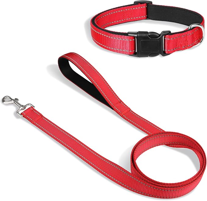 Joytale Dog Collar Bundle with 5FTx3/4 Width Double-Sided Reflective Dog Leash,5FT Nylon Dog Leashes with Nylon Dog Collar for Small Dogs,Red