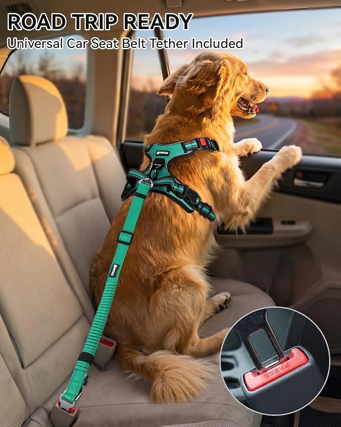 Joytale No Pull Dog Harness & Seat Belt, Easy On 3-Buckle, S, Teal | Front Clip Reduces Pulling, Escape-Resistant Design, Adjustable Fit, Soft Padding for Comfort, Secure Tether for Safer Travel