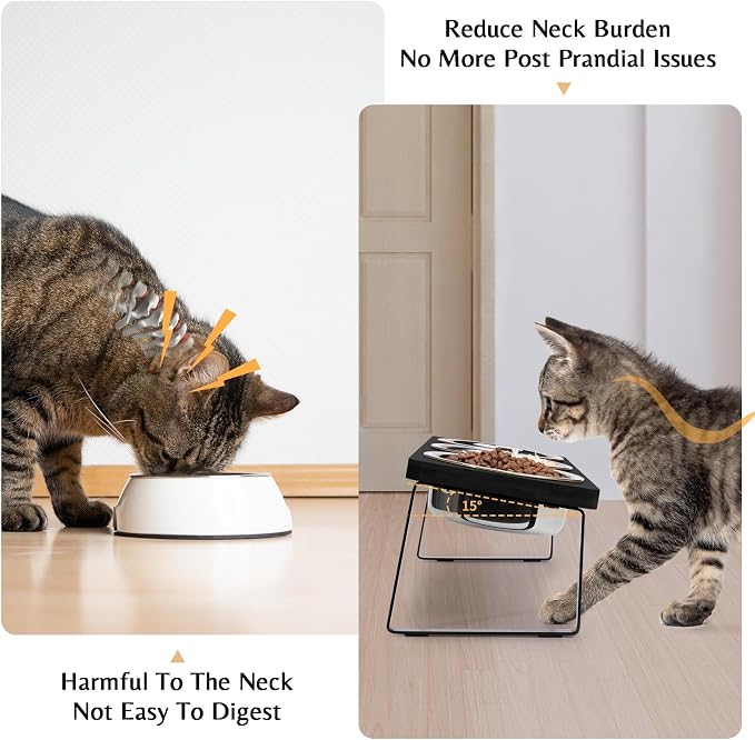 Elevated Cat Bowls for Food and Water: 15° Tilted Raised Cat Bowl Set Whisker Friendly 3 Black Stainless Steel Anti Vomiting Dishes with Stand for Indoor Kitty Kittens and Pet