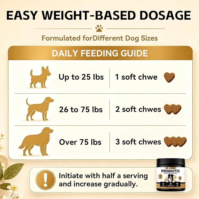 Probiotics for Dogs - Gut Health, Immune Support, Diarrhea, Gas & Constipation Care | with Prebiotics, Digestive Enzymes & Pumpkin - Dog Probiotic Soft Chews, 150 Count