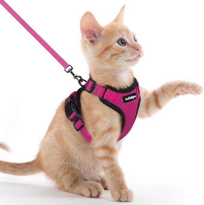 rabbitgoo Cat Harness and Leash Set, Escape Proof Vest, Rose Red | Soft Breathable Mesh, Easy Adjustable Fit, Snap Buckles, Sturdy Clip, Reflective Strips, for Kittens & Small Cats Walks, Xxs