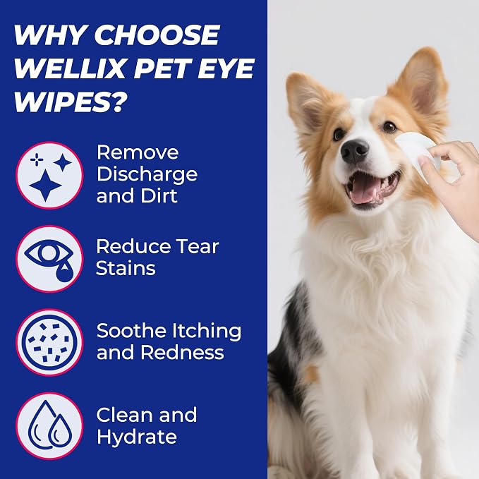 Wellix Dog & Cat Eye Wipes for Discharge and Crust, 110 Count