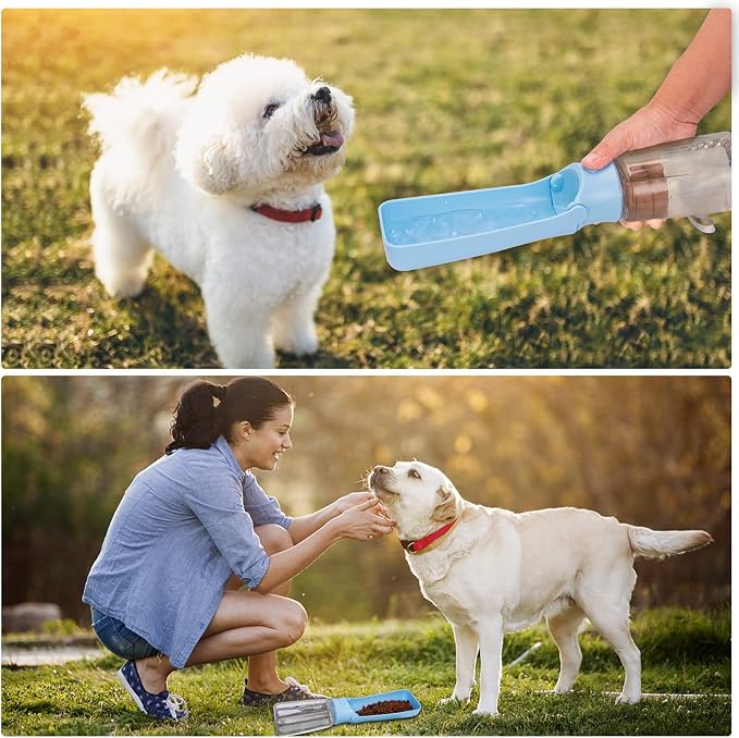 Portable Dog Water Bottle, Foldable, 19oz, SkyBlue