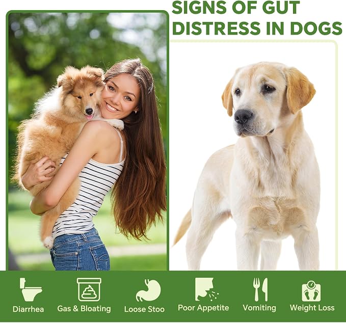 Probiotics for Dogs | Gut Health | Dogs Digestive Support | Dog Constipation Relief | Dog Stomach Upset Medicine | B12 for Dogs Supplement for IBD Support – Digestive Health– Diarrhea & Gas Relief