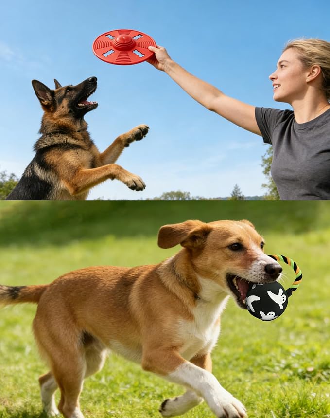 Squeaky Natural Rubber Dog Flying Disc/Frisbee/Flyer with Black Ball Gift | Water-float Natural Rubber Dog Frisbee for Outdoor, Spaceship Shaped 6.5'' Squeaky Interactive Fetch Toy for Anxiety Relief