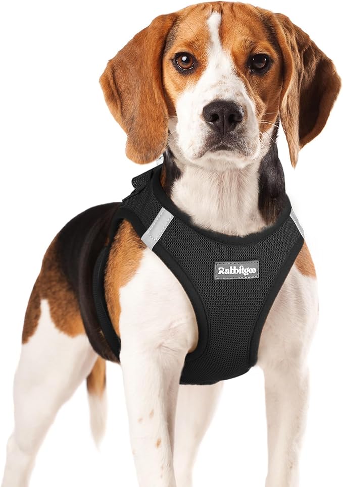 rabbitgoo Step-in Small Dog Harness, Puppy Vest for Small Medium Sized Pet | Easy Put on and off, Lightweight, Soft, Breathable Quick-Dry Air Mesh for Comfortable Secure Walking, Black XL