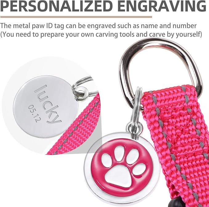PUPTECK No Pull Dog Harness Small Sized Step-in Adjustable Puppy Vest | Soft Webbing Basic Halter with ID Tag for Outdoor Walking