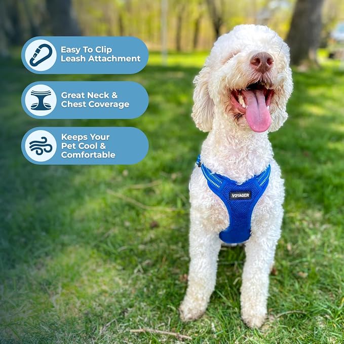 Voyager Step-in Flex Adjustable Dog Harness - Royal Blue, X-Large | 23 - 28" in Chest, Fully Adjustable, Reflective Bands, All Weather Breathable Air Mesh, Lightweight, Fast Drying
