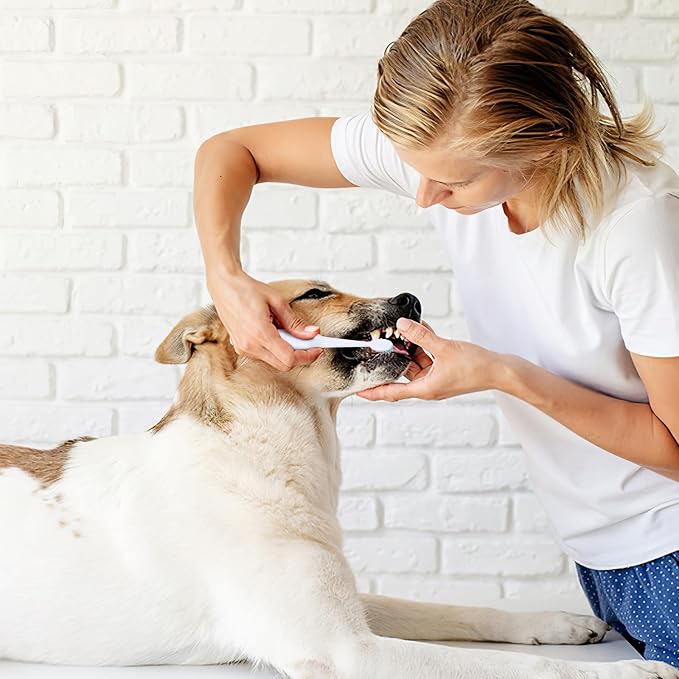 ibasenice Electric Pet Toothbrush 7.48In 1.94oz Sonic Plaque Remover – Gentle Waterproof Travel Brush for Dogs & Cats