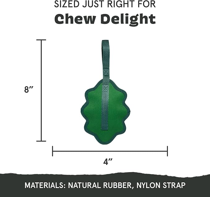 Barkbox Green Chew Leaf Dog Toy for Small Dogs – 2-in-1 Design with Mixed Textures and Surprises, Perfect for Tough Chewing and Playful Pups | Design with Mixed Textures and Surprises, Perfect for Tough Chewing and Playful Pups