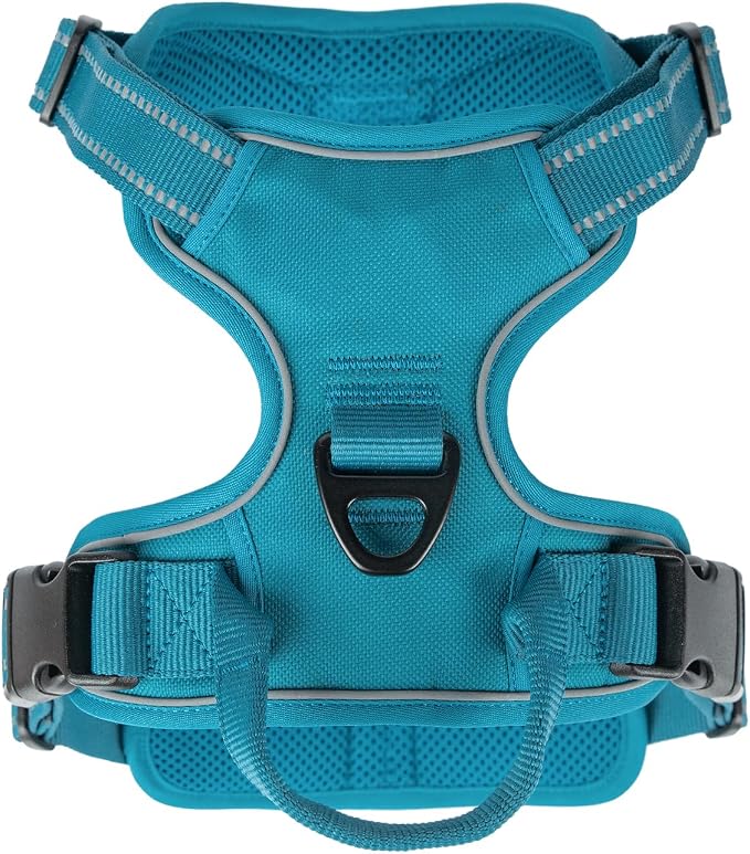 Voyager Dual Attachment No Pull Harness - Turquoise, Small | 16 - 20" in Chest, No Pull Dog Harness, Fully Adjustable, 3M Reflective Technology, Front & Back D-Rings, Walking & Training