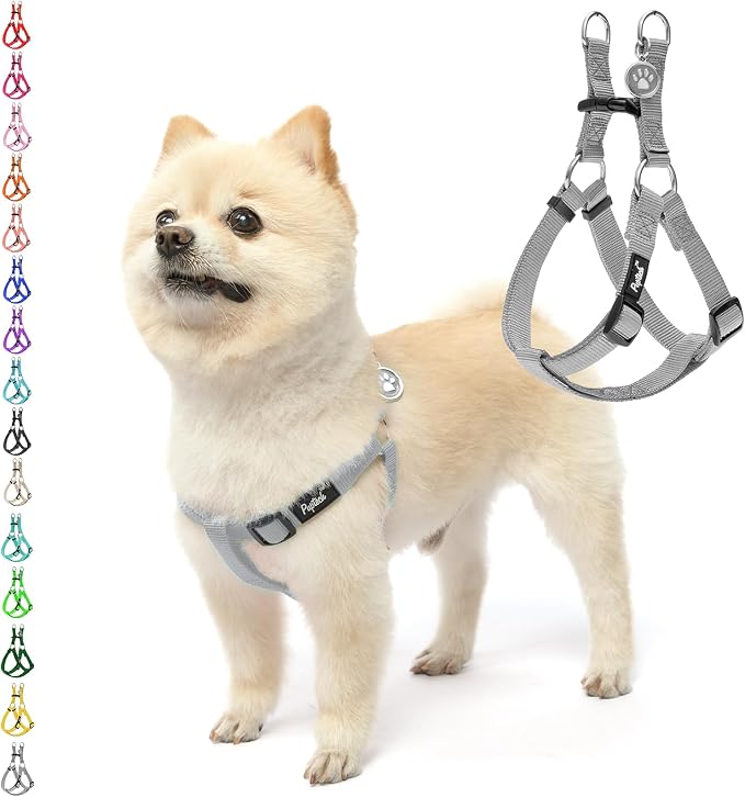 PUPTECK No Pull Dog Harness Small Sized Step-in Adjustable Puppy Vest | Soft Webbing Basic Halter with ID Tag for Outdoor Walking