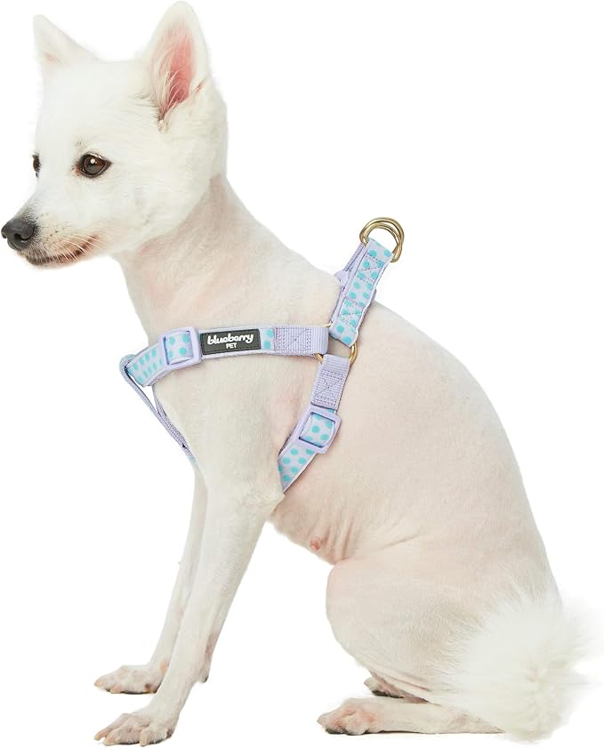 Blueberry Pet 4 Patterns Step-in Velvety Polka Dot Flocking Dog Harness in Pastel Purple, Chest Girth 20" - 26", Medium, Adjustable Harnesses for Dogs