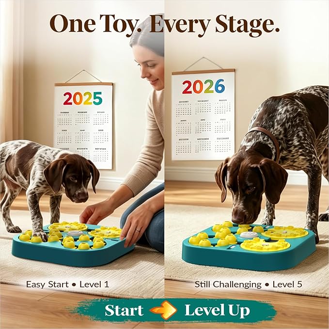KADTC Dog Puzzle Toy, XL Size, 5 Levels in 1 & 6 Ways to Play, Beginner to Expert Difficulty, Mental Stimulation Enrichment Toy for Smart Dogs