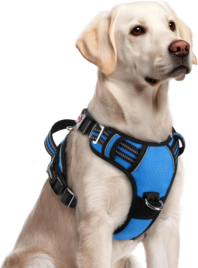 rabbitgoo Dog Harness for Large, No Pull 3 Buckles Easy On & Off | Soft Padded, Walking with Control Handle, Adjustable and Reflective, Blue, Large