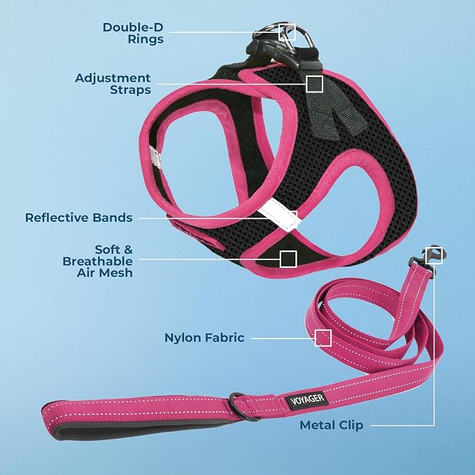 Best Pet Supplies Voyager Step-in Air All Weather Mesh Harness and Reflective Dog 5 ft Leash Combo with Neoprene Handle, for Small, Medium and Large Breed Puppies - Black/Pink Trim, Small