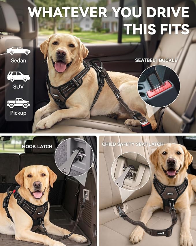 Joytale 3-in-1 Bungee Dog Seat Belt - Brown