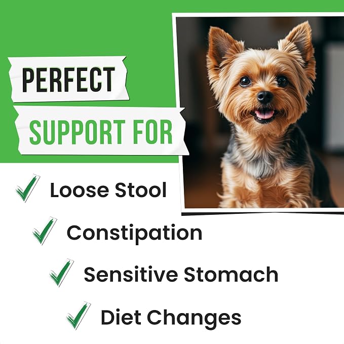 Pumpkin Powder for Dogs - 8oz Powdered High Fiber Supplement