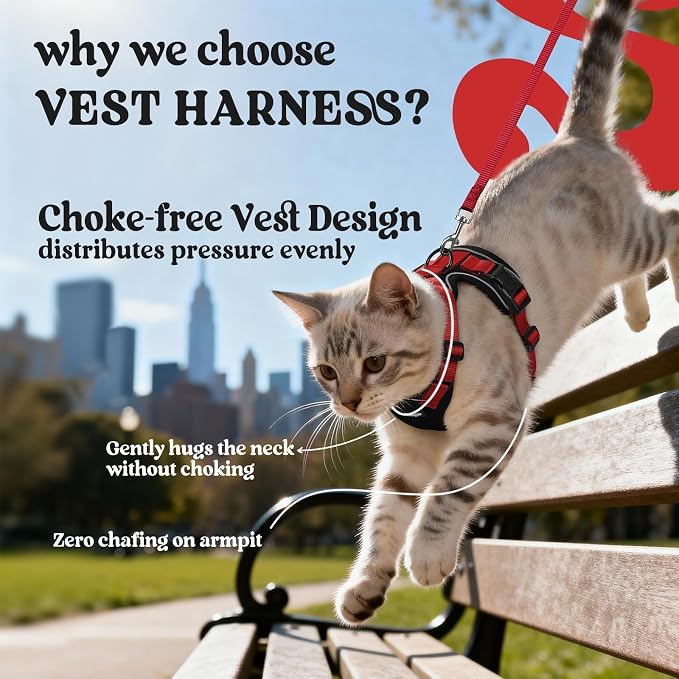 rabbitgoo Cat Harness and Leash Set, Escape Proof Vest, Black & Red | Soft Breathable Mesh, Easy Adjustable Fit, Snap Buckles, Sturdy Clip, Reflective Strips, for Medium to Large Cats Walks, M