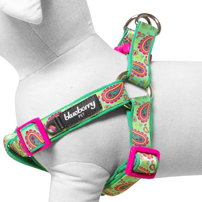 Blueberry Pet 5 Colors Soft & Comfy Step-in Paisley Flower Print Dog Harness, Chest Girth 16.5" - 21.5", Emerald Green, Small, Adjustable Harnesses for Dogs