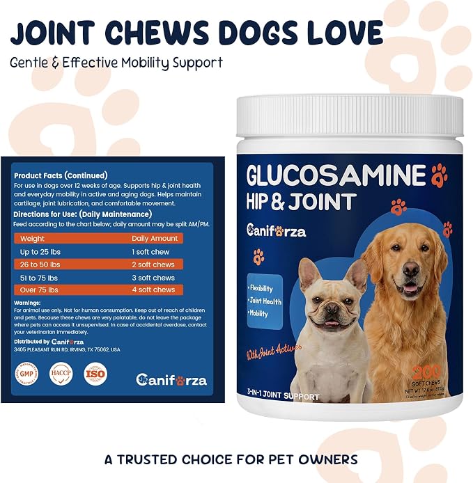 Dog Joint Support Supplement – Glucosamine, Chondroitin & MSM for Hip & Joint Function Support, Flexibility, and Daily Activity – 200 Soft Chews