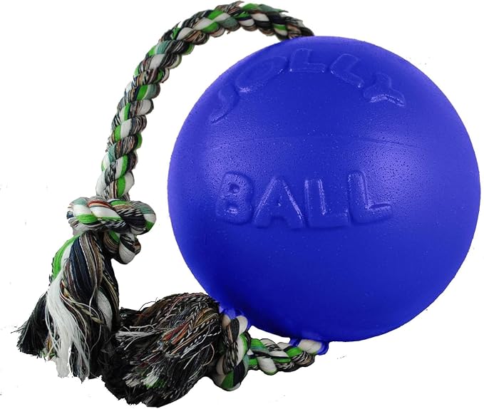 Jolly Pets Romp-N-Roll Ball Color: Blue, Size: 20" H x 8" W x 8" D