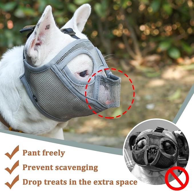 Mesh Short Snout Dog Muzzle with Anti-Eating Design for Frenchie | Fits French Bulldog Pug English Bulldog, Prevent Scavenging, Walking Grooming Use , Allows Full Panting Drinking | Grey, M