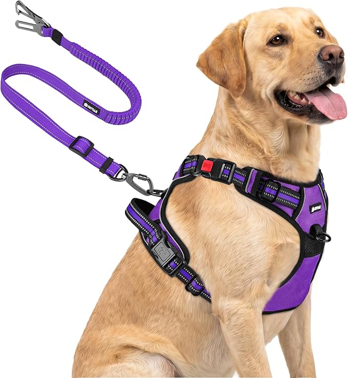 Joytale No Pull Dog Harness & Seat Belt, Easy On 3-Buckle, L, Purple | Front Clip Reduces Pulling, Escape-Resistant Design, Adjustable Fit, Soft Padding for Comfort, Secure Tether for Safer Travel