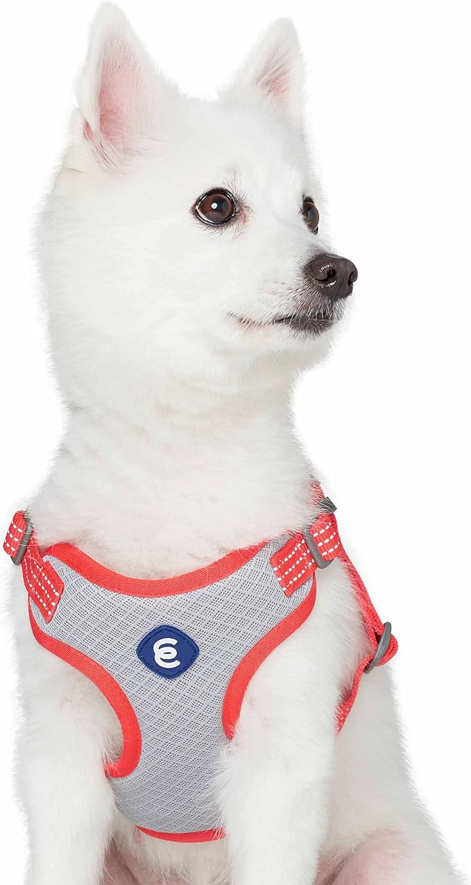 Blueberry Pet Essentials Back to Basics Reflective Dog Harness Vest, Fiery Red, Small, Adjustable Harnesses for Dogs