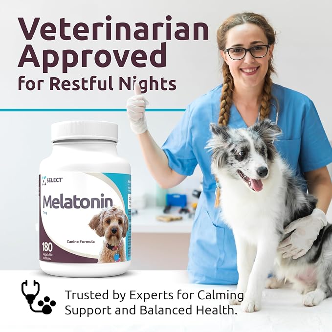 K9 Select Melatonin for Dogs, Small
