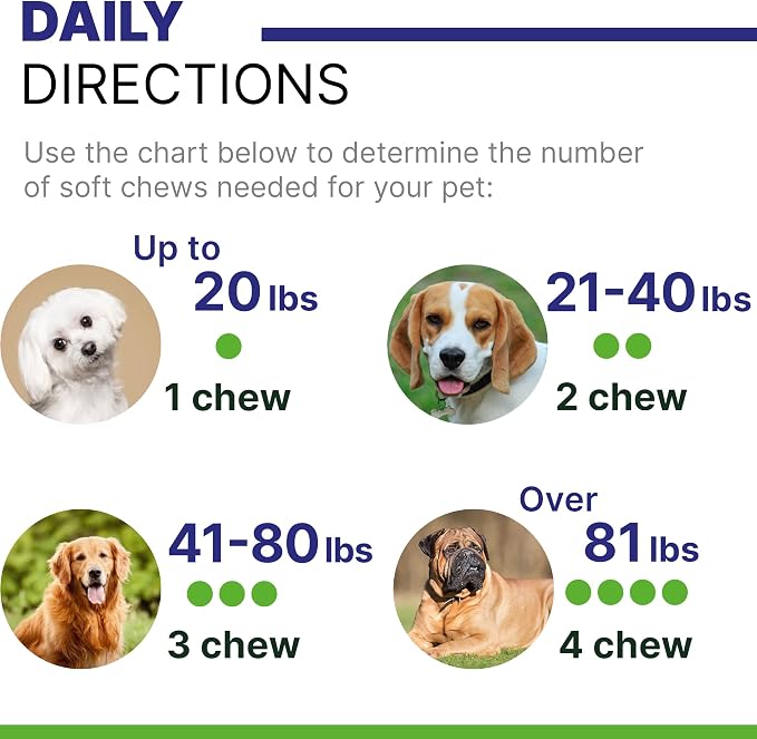 ADVANCED Hemp Hip & Joint Supplement for Dogs - Glucosamine for Dogs - Dog Joint Pain Relief Treats - Chondroitin Turmeric MSM Hemp Oil - Hemp Treats for Joint Health - Senior Mobility Support Chew
