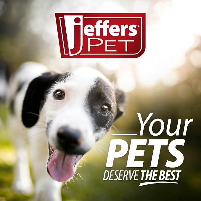 Jeffers Pet All Purpose Coconut Oil Conditioning Dog & Cat Shampoo, 128 oz – Deodorizing Grooming Wash, Coconut Based Soap Free Formula, Aloe Vera & Vitamin E, Concentrated pH Balanced Coat Cleanser