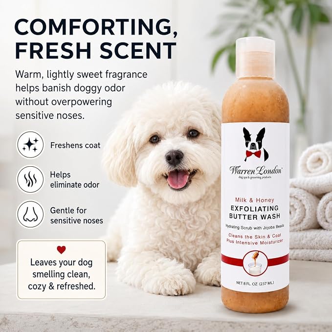 Warren London Exfoliating Butter Wash Dog Shampoo – Milk & Honey, 8 oz | Cleansing, Conditioning & Exfoliating Shampoo with Jojoba Beads for Dry Skin, Flakes, Soft Coat & Shine | Made in USA