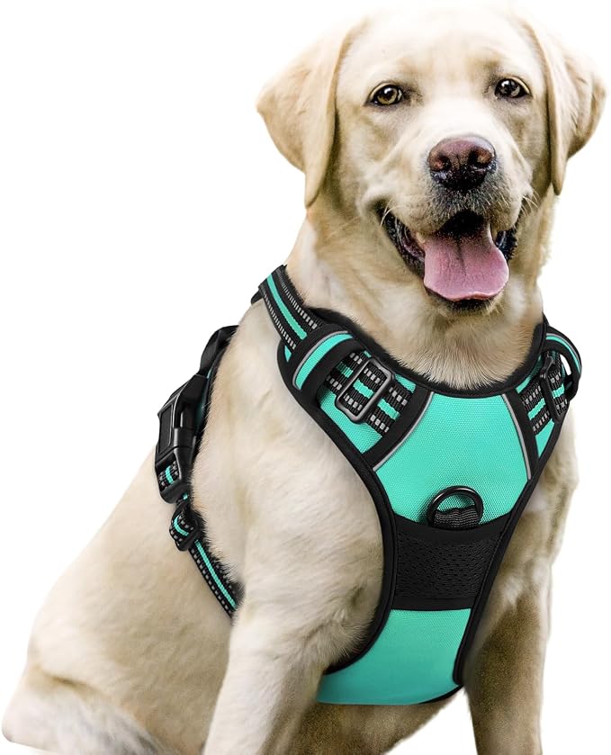 rabbitgoo Dog Harness, No Pull for Large Dogs with 2 Leash Clips, Pet Vest | No Choke with Handle, Adjustable Soft Padded, Reflective, Easy Control for Walking, Turquoise, Large
