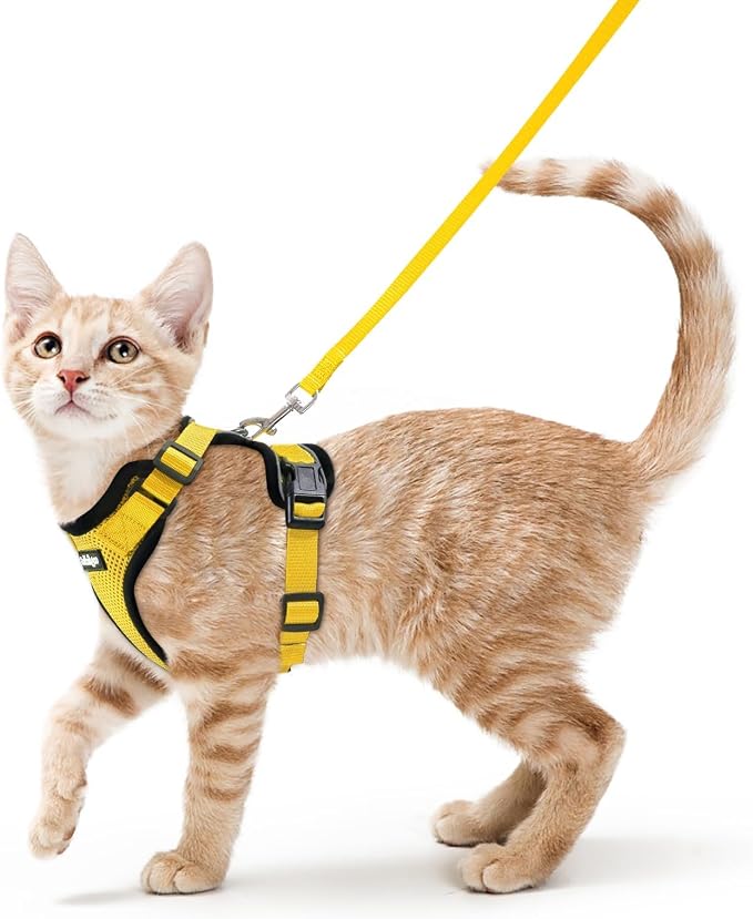 rabbitgoo Cat Harness and Leash Set, Escape Proof Vest, Yellow | Soft Breathable Mesh, Easy Adjustable Fit, Snap Buckles, Sturdy Clip, Reflective Strips, for Average Cats Walks, S