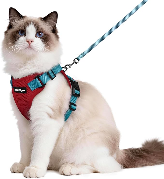rabbitgoo Cat Harness and Leash Set, Escape Proof Vest, Red & Teal | Soft Breathable Mesh, Easy Adjustable Fit, Snap Buckles, Sturdy Clip, Reflective Strips, for Medium to Large Cats Walks, M