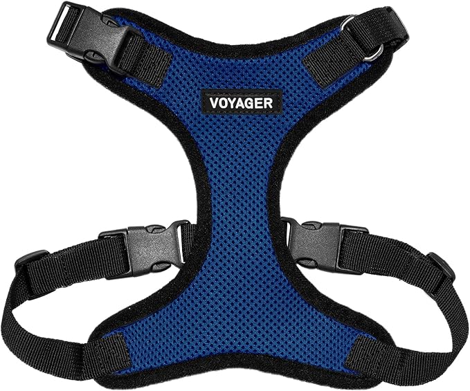 Voyager Step-in Lock Dog Harness - Royal Blue/Black Trim, X-Small | 13 - 16" in Chest, Adjustable, Breathable Air Mesh, Lightweight for Daily Walks, Strong Clips, Heavy Duty D-Ring