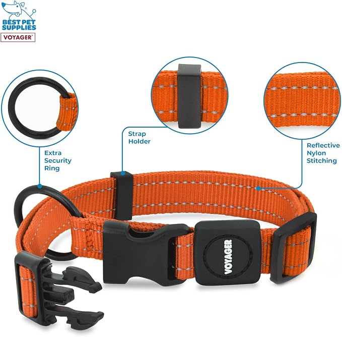 Best Pet Supplies Voyager Reflective Dog Leash or Collar with Neoprene Handle, for Small, Medium, and Large Breed Puppies, Cute and Heavy Duty for Walking, Running and Training - Orange, L