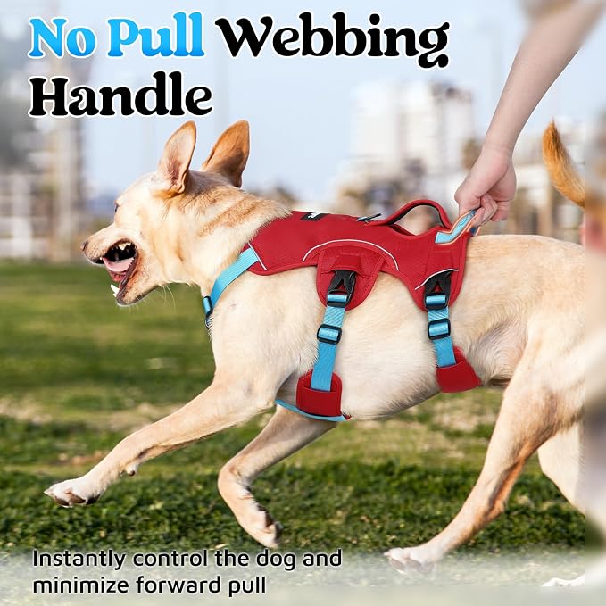 rabbitgoo Escape Proof Dog Harness for Medium, No Pull with Lift Handle | No Escape, Full Soft Padded, Reflective Adjustable Vest, Leash Clip for Walking Hiking Training, Sky Blue & Red, Medium