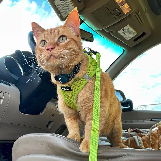 Best Pet Supplies Voyager Step-in Air All Weather Mesh Harness and Reflective Dog 5ft Leash Combo with Neoprene Handle, for Small, Medium and Large Breed Puppies - Lime Green, Medium