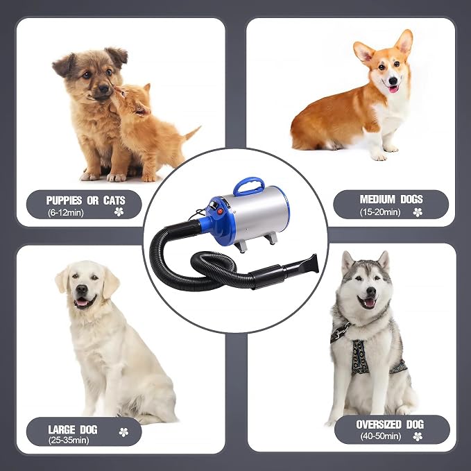 2800w 75m/s Pet Dryer Stepless Adjustable Speed Temperature Dogs Grooming Blow Dryer with Heater for Pets Hair Dryer