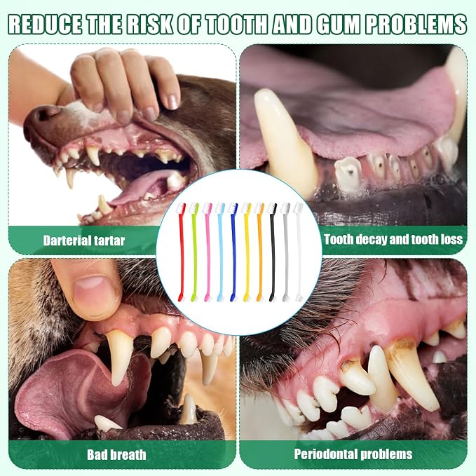 XIHIRCD 100pcs Dog Toothbrush Bulk, Dual Headed Soft Bristles Toothbrush Anti-Slip Cat Teeth Brush Easy Teeth Cleaning Dental Care Pet Toothbrush for Small and Large Dogs Cats Most Pets (10 Colors)