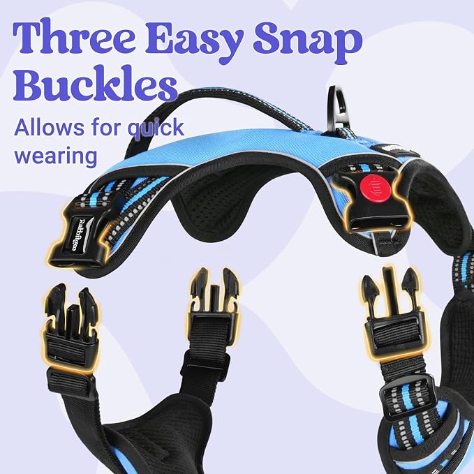 rabbitgoo Large Dog Harness, Easy Wear with 3 Buckles and Lift Handle | No Pull with Front Clip for Walking, Adjustable Soft Padded, Reflective, Easy Control, Light Blue, Small