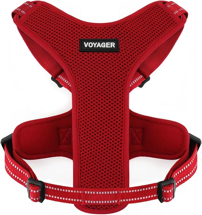 Air Frontier Mesh Dog Harness with Steel Leash D-Ring, Reflective Stitching, and Lightweight Breathable No-Pull Design, Adjustable Neck and Chest Straps for Small to Large Breeds - RDW, XS