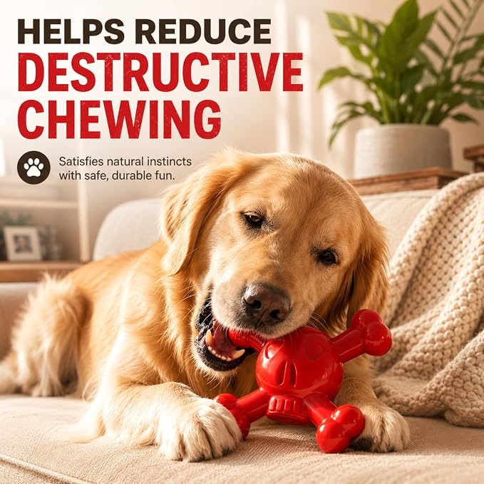 Dog Chew Toys for Aggressive Chewers, Durable Nylon Tough Chew Toy for Small & Medium Dogs, Bacon Flavor Skull Dog Toy to Keep Dogs Busy Indoors, Helps Reduce Boredom