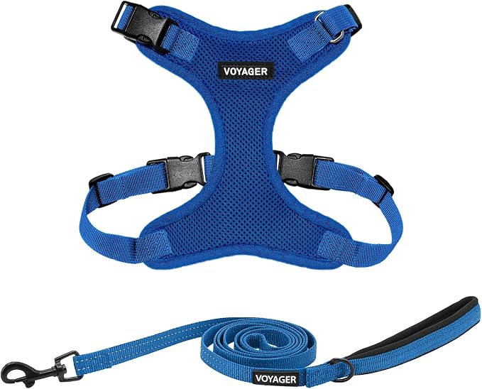 Best Pet Supplies Voyager Step-in Lock Pet Harness w Reflective Pet Leash Combo Set with Neoprene Handle 5ft - Supports Small, Medium and Large Breed Puppies/Cats - Royal Blue, XL